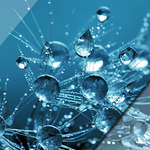 Refrigeración & Aire Acondicionado